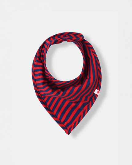 Bandana Magnetic Bib - Betta Stripes (2-piece set)