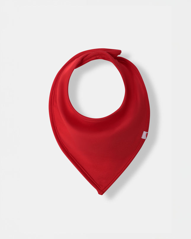 Bandana Magnetic Bib - Betta Stripes (2-piece set)